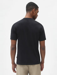 T-shirt Uomo DICKIES