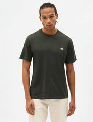 T-SHIRT MAPLETON DICKIES