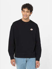 FELPA DICKIES LEGGERA MILLESBURG