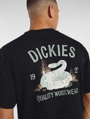 T-shirt Uomo DICKIES