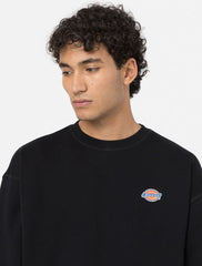 FELPA DICKIES LEGGERA  Millersburg