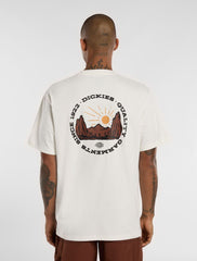 T-shirt Uomo DICKIES