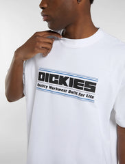 T-SHIRT DICKIES DERBY