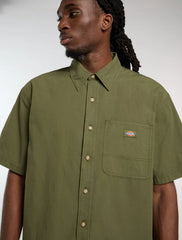 CAMICIA VERNAL DICKIES