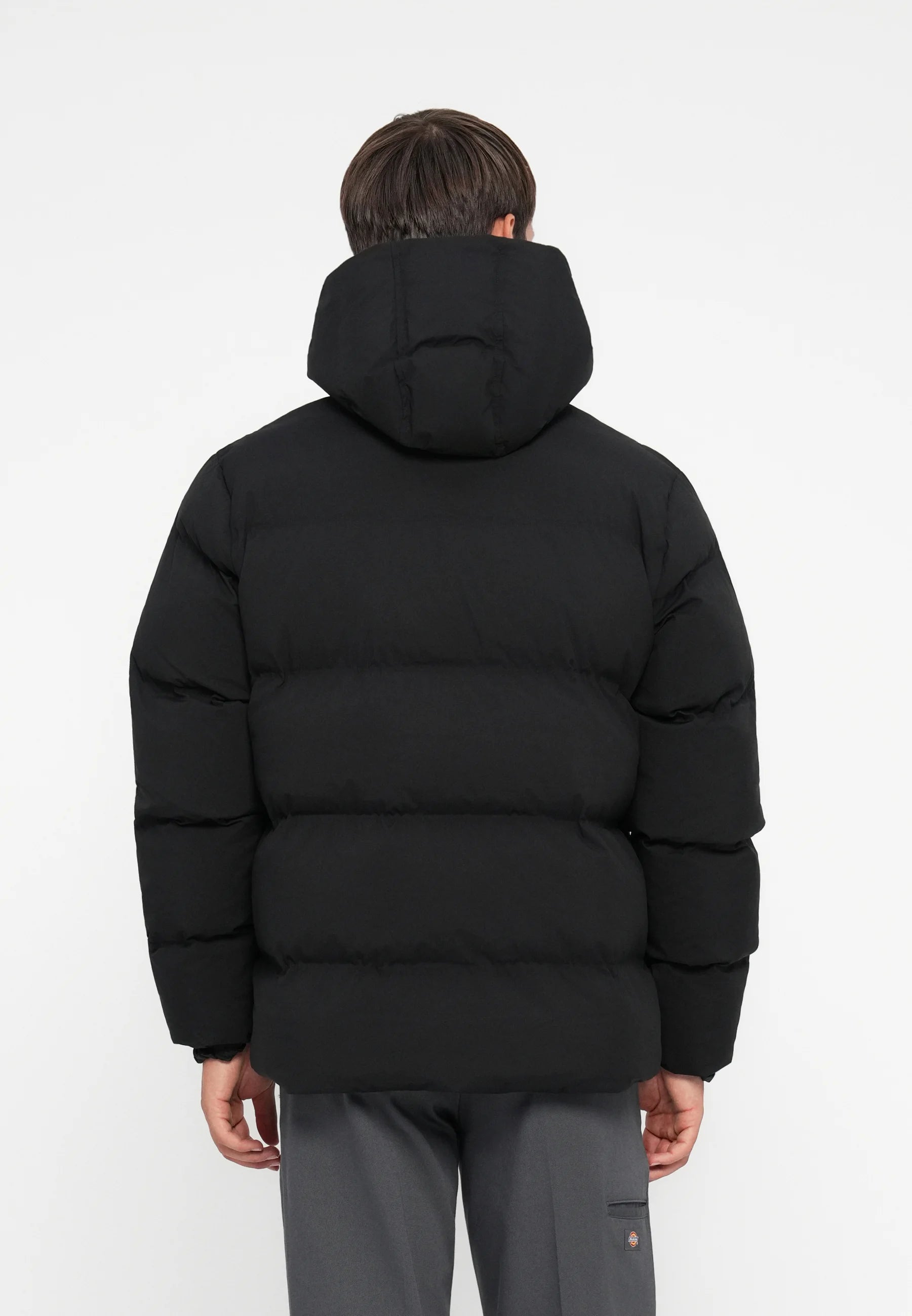 GIUBBOTTO EAGLEVILLE DICKIES