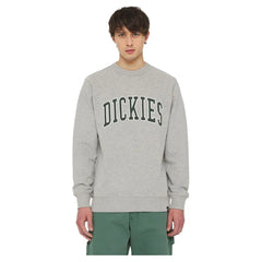 FELPA  Dickies Felpa Aitkin