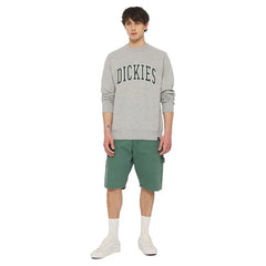 FELPA  Dickies Felpa Aitkin