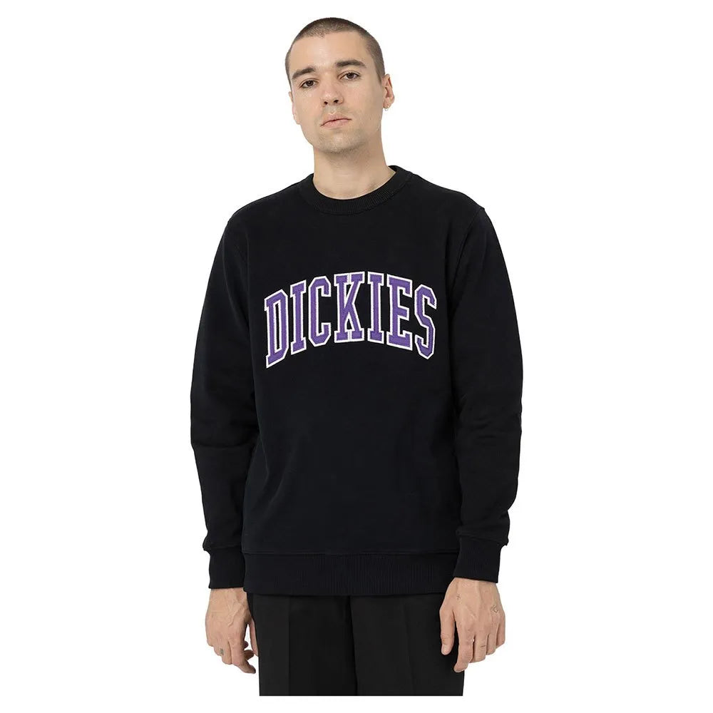 FELPA  Dickies Felpa Aitkin