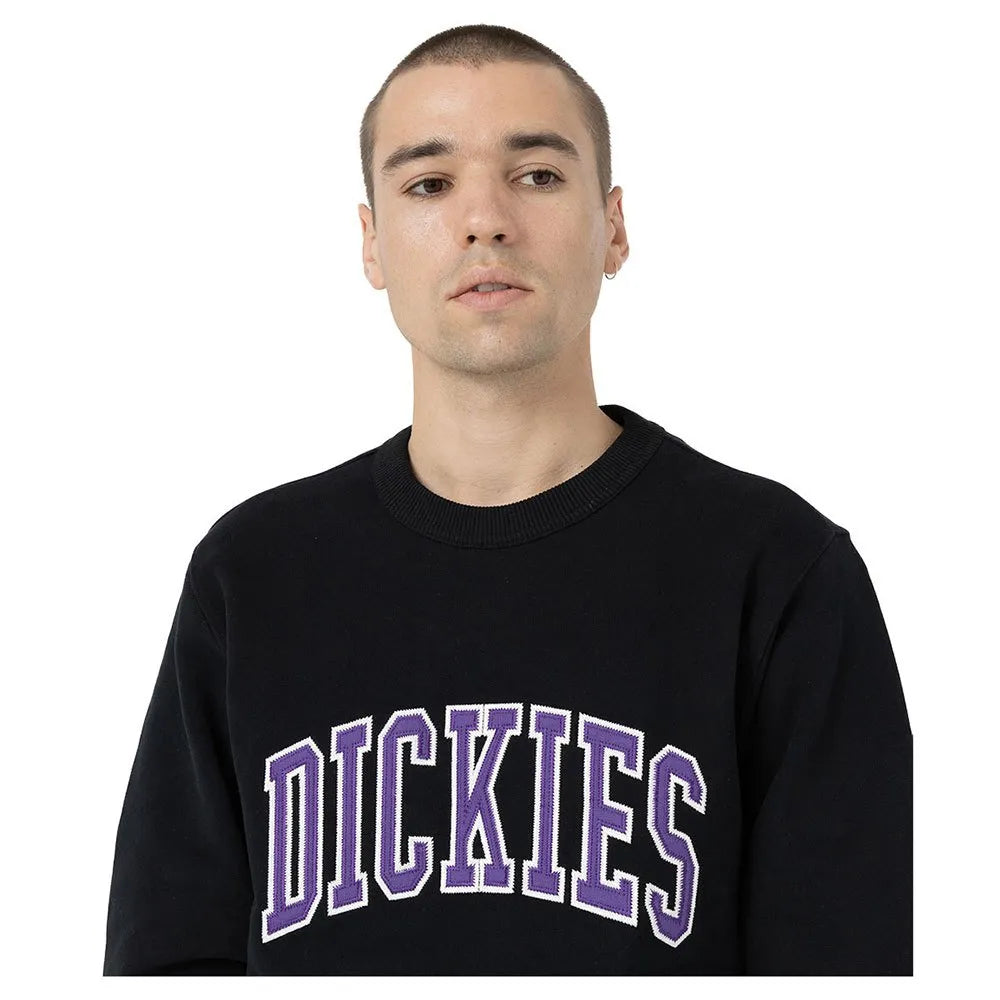 FELPA  Dickies Felpa Aitkin