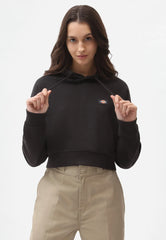 FELPA OAKPORT CROPPED DICKIES